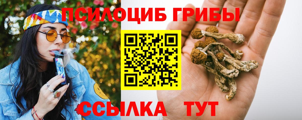 Галлюциногенные грибы мицелий Новошахтинск